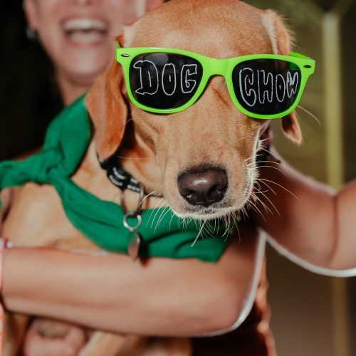EV_20250321_Purina_Dog Chow_Macrofest_108