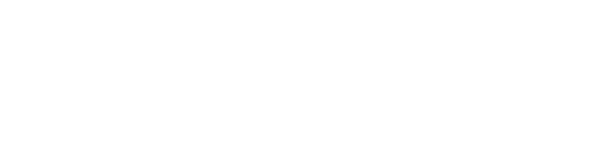 logo-bs-white
